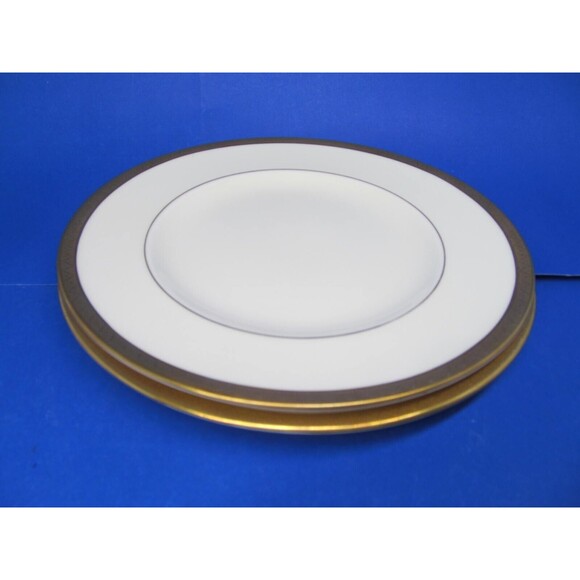 Royal Worcester Coventry 8" Salad Plates Very Good Condition Set Of 2 - Picture 6 of 13